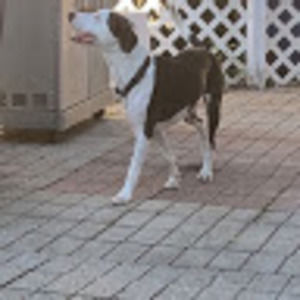 Meet your Posher, Hi